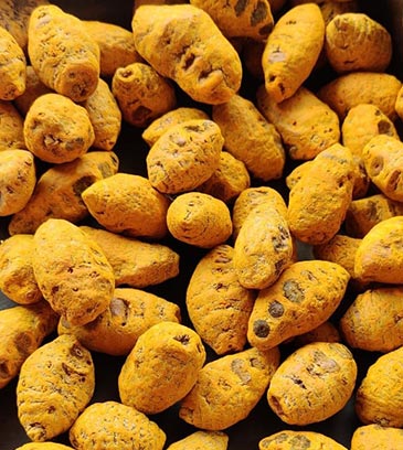 turmeric-1